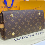 Louis Vuitton Carryall PM M46203 Brown